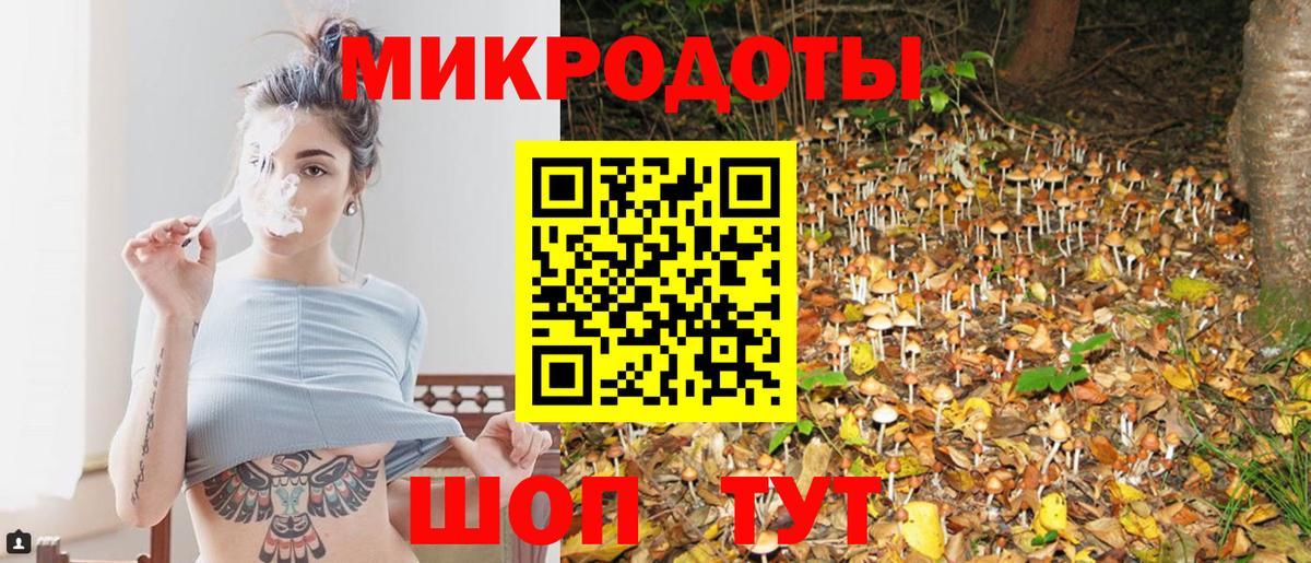 Асбест  Галлюциногенные грибы Psilocybine cubensis  Вход с VPN  Псилоцибиновые грибы GOLDEN TEACHER 