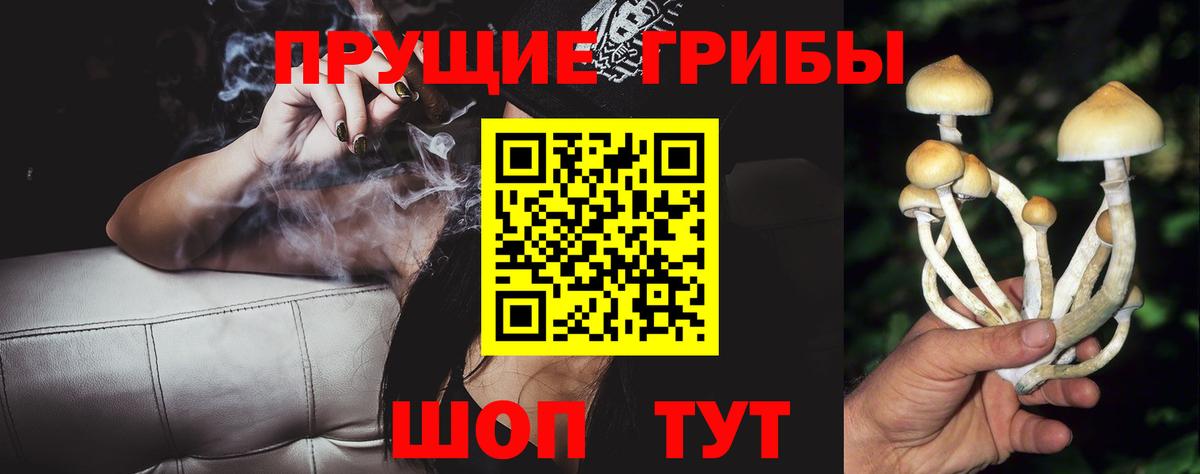 Галлюциногенные грибы мицелий Асбест