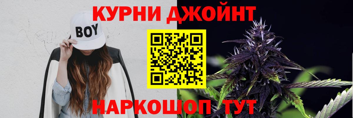 Шишки марихуана план  Конопля сатива  Конопля THC 21%  Асбест  Каннабис индика  Вход с VPN 